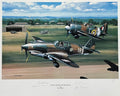 AVG Flying Tigers Signed Buffalos Print Stan Stokes AVG x4 Autos Bond Rossi0